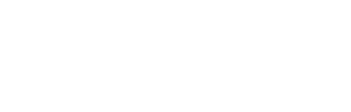 Direct Access Insurance Services